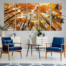 Golden Autumn Forest Wall Art Canvas Print – Framed Vibrant by MyGreatCanvas | Canvas Wall Art Prints | Photo Prints & Wall Decor