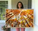 Golden Autumn Forest Wall Art Canvas Print – Framed Vibrant by MyGreatCanvas | Canvas Wall Art Prints | Photo Prints & Wall Decor