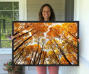 Golden Autumn Forest Wall Art Canvas Print – Framed Vibrant by MyGreatCanvas | Canvas Wall Art Prints | Photo Prints & Wall Decor