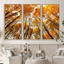 Golden Autumn Forest Wall Art Canvas Print – Framed Vibrant by MyGreatCanvas | Canvas Wall Art Prints | Photo Prints & Wall Decor