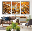 Golden Autumn Forest Wall Art Canvas Print – Framed Vibrant by MyGreatCanvas | Canvas Wall Art Prints | Photo Prints & Wall Decor