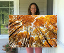 Golden Autumn Forest Wall Art Canvas Print – Framed Vibrant by MyGreatCanvas | Canvas Wall Art Prints | Photo Prints & Wall Decor