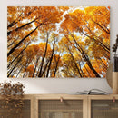Golden Autumn Forest Wall Art Canvas Print – Framed Vibrant by MyGreatCanvas | Canvas Wall Art Prints | Photo Prints & Wall Decor