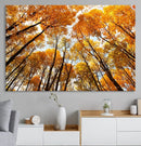 Golden Autumn Forest Wall Art Canvas Print – Framed Vibrant by MyGreatCanvas | Canvas Wall Art Prints | Photo Prints & Wall Decor