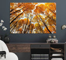 Golden Autumn Forest Wall Art Canvas Print – Framed Vibrant by MyGreatCanvas | Canvas Wall Art Prints | Photo Prints & Wall Decor