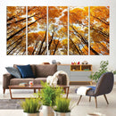 Golden Autumn Forest Wall Art Canvas Print – Framed Vibrant by MyGreatCanvas | Canvas Wall Art Prints | Photo Prints & Wall Decor