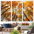 Golden Autumn Forest Wall Art Canvas Print – Framed Vibrant by MyGreatCanvas | Canvas Wall Art Prints | Photo Prints & Wall Decor