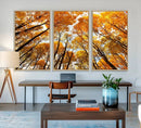 Golden Autumn Forest Wall Art Canvas Print – Framed Vibrant by MyGreatCanvas | Canvas Wall Art Prints | Photo Prints & Wall Decor