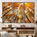 Golden Autumn Forest Wall Art Canvas Print – Framed Vibrant by MyGreatCanvas | Canvas Wall Art Prints | Photo Prints & Wall Decor