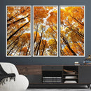 Golden Autumn Forest Wall Art Canvas Print – Framed Vibrant by MyGreatCanvas | Canvas Wall Art Prints | Photo Prints & Wall Decor