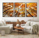Golden Autumn Forest Wall Art Canvas Print – Framed Vibrant by MyGreatCanvas | Canvas Wall Art Prints | Photo Prints & Wall Decor