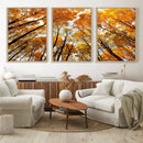 Golden Autumn Forest Wall Art Canvas Print – Framed Vibrant by MyGreatCanvas | Canvas Wall Art Prints | Photo Prints & Wall Decor