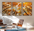 Golden Autumn Forest Wall Art Canvas Print – Framed Vibrant by MyGreatCanvas | Canvas Wall Art Prints | Photo Prints & Wall Decor