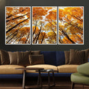 Golden Autumn Forest Wall Art Canvas Print – Framed Vibrant by MyGreatCanvas | Canvas Wall Art Prints | Photo Prints & Wall Decor