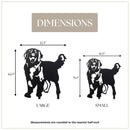Golden Retriever - Standing