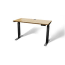 Butcher Block 48” Height-Adjustable Standing Office Desk