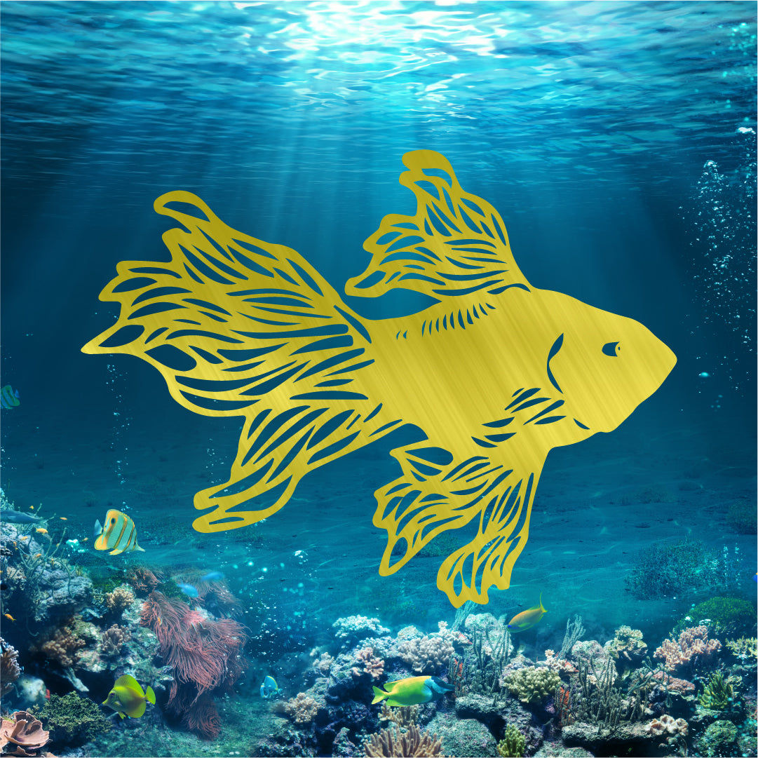 Goldfish v1, photo 2 of 7