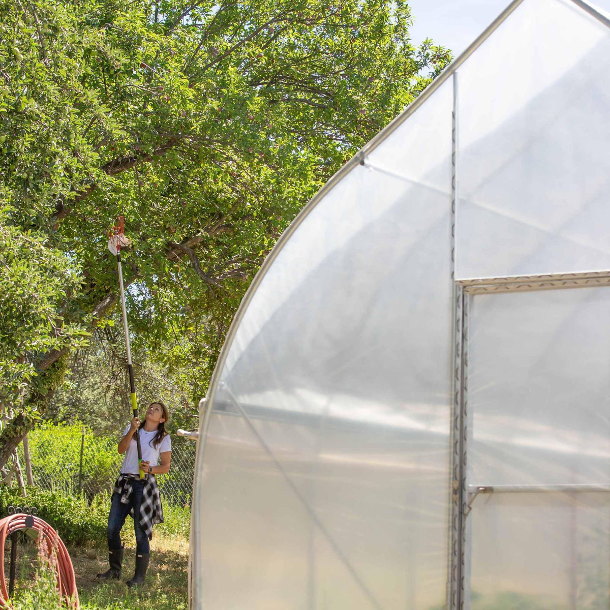 Bootstrap Farmer Gothic All-Metal Hoop House Kit, photo 3 of 20