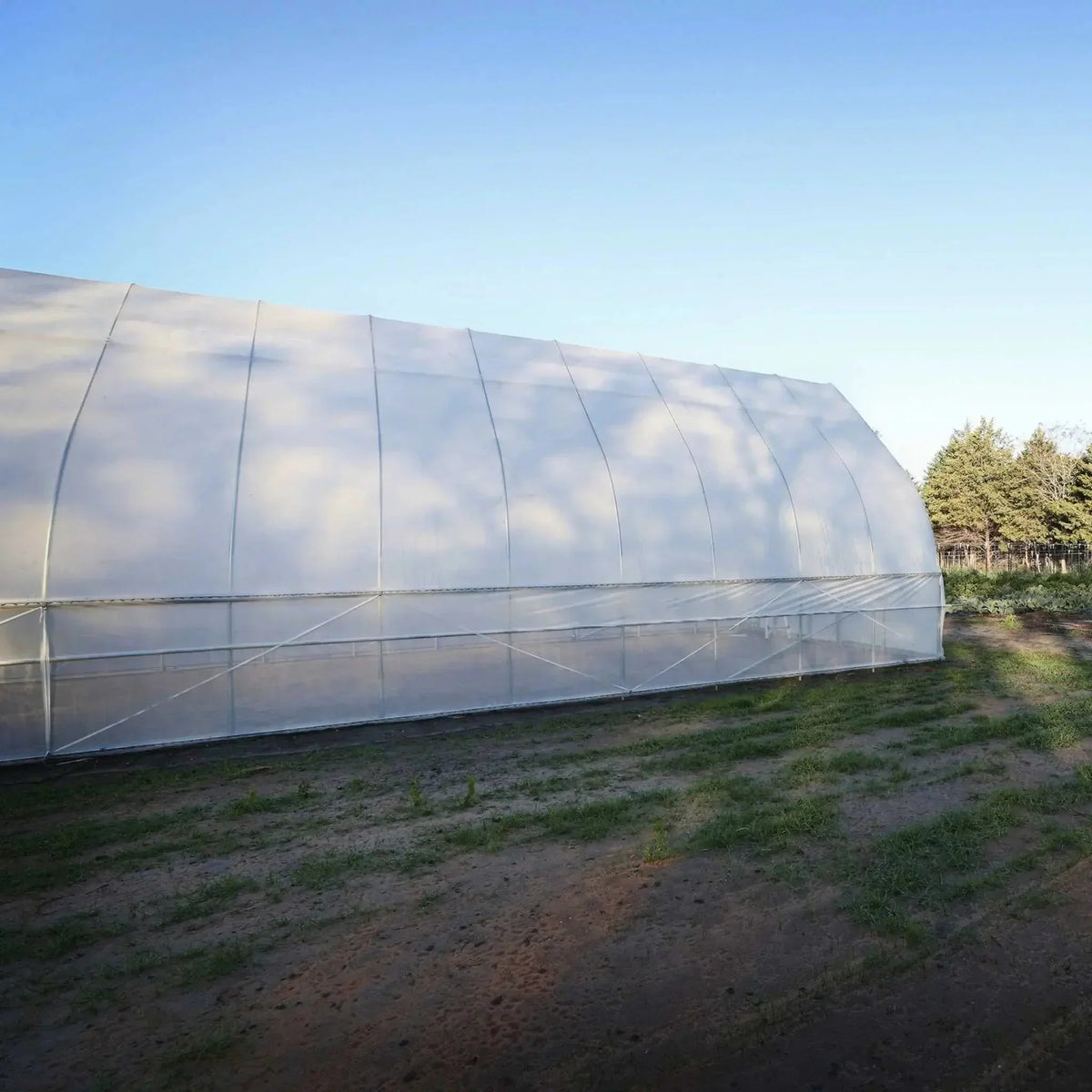 Bootstrap Farmer Gothic All-Metal Hoop House Kit, photo 9 of 20