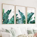 Green Banana Leaves 3 Piece Set. Tropical Wall Art by Wall Art Set