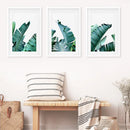 Green Banana Leaves 3 Piece Set. Tropical Wall Art by Wall Art Set