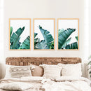 Green Banana Leaves 3 Piece Set. Tropical Wall Art by Wall Art Set