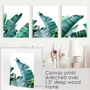 Green Banana Leaves 3 Piece Set. Tropical Wall Art by Wall Art Set