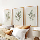 Vintage Neutral Botanical Gallery Wall Print Set by Wall Art Set