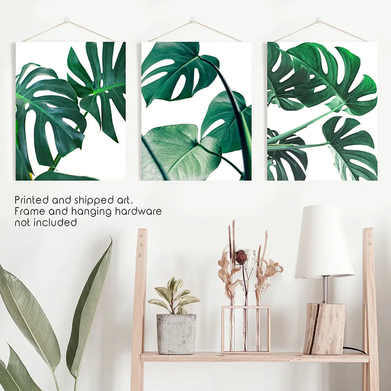 3 Piece Green Monstera Leaf Print Set. Tropical Decor