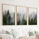 Green Pine Tree Forest. Foggy Nature Wall Art Prints by Wall Art Set