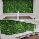 Sample Panel – Green Tropics Vertical Garden (Small Sample) by Designer Plants USA