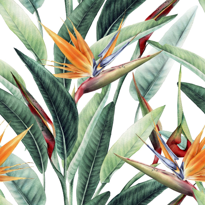 Tropical Banana Leaf & Bird of Paradise Wallpaper