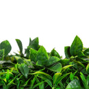 Sample Panel – Green Tropics Vertical Garden (Small Sample) by Designer Plants USA