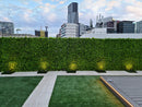 Lush Fern Artificial Vertical Garden Green Wall Panel 40×40in 11 SQ FT – UV Resistant – Commercial Grade