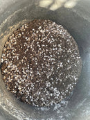 Cactus and Succulent Growers Soil