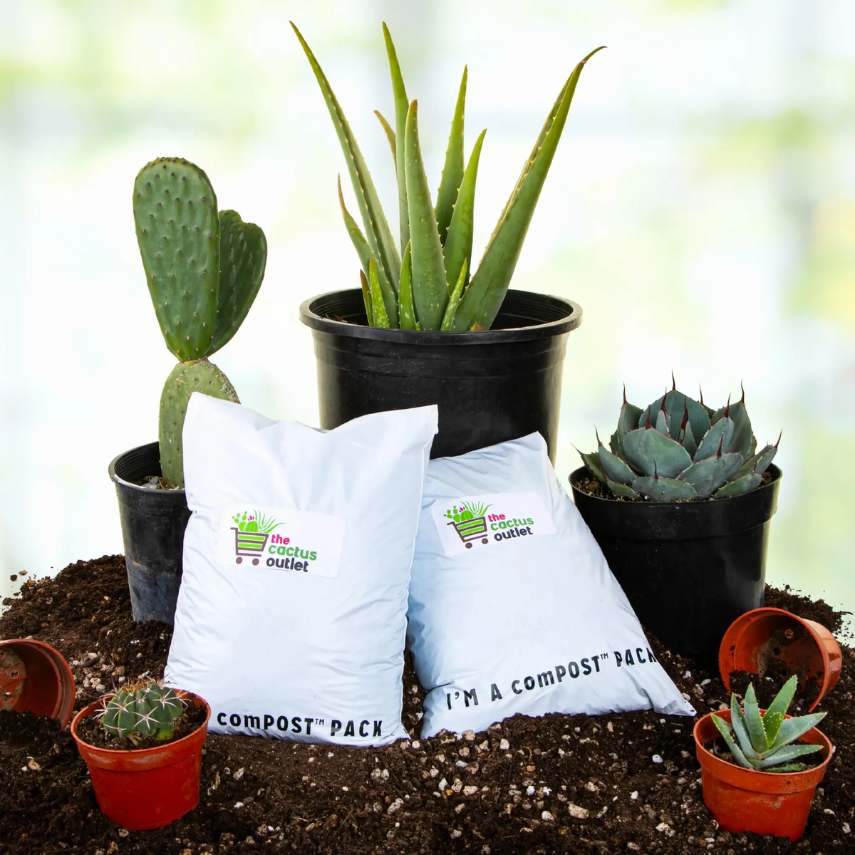 Cactus and Succulent Growers Soil, photo 5 of 5