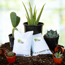 Cactus and Succulent Growers Soil by The Cactus Outlet