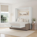 Wall Bed with Sofa