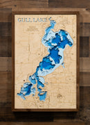 Gull (Cass)