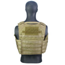 Full plate carrier that fits front plates and side plates