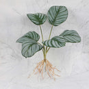 GobekUsa Green Plant Wall Set for Indoor Decoration