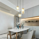 GobekUsa Modern LED Glass Pendant Lights for Dining Hall, Restaurant, and Hotel Lighting