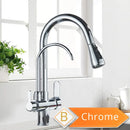 GobekUsa Antique Brass 2-in-1 Kitchen Faucet with Pull Out Nozzle and Purification