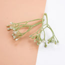 GobekUsa 10Pcs Plastic Grass Artificial Plants for Home Decor and DIY Gifts Box Decorations