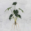 GobekUsa Green Plant Wall Set for Indoor Decoration
