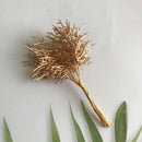 GobekUsa Dried Flower Bouquets for Home Decor, Photography Props, and Crafts