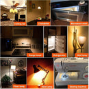GobekUsa Amber Glass Dimmable LED Filament Bulb E12 E14 Base T22G 1W 2200K
