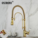 GobekUsa Golden Kitchen Faucet Vessel Sink Swivel Mixer Tap with Pull Down Spring