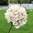 GobekUsa Artificial Hydrangea Wedding Flowers Wall Home Decoration Indoor Bonsai Bouquet Background