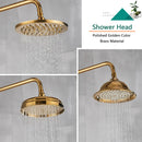 GobekUsa Gold Brass Shower Faucet Set with Tub Spout and Dual Handles